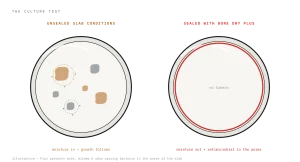 Bone Dry Plus Petri Pair